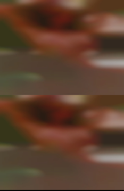 pics of niggas fucking housewives